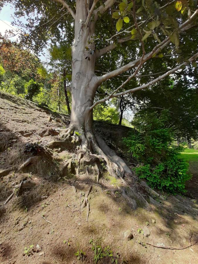 Appartamento GIOIOSA 1 con ampio terrazzo e vista Lago Belgirate Esterno foto