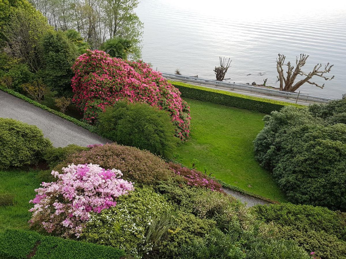 Appartamento GIOIOSA 1 con ampio terrazzo e vista Lago Belgirate Esterno foto